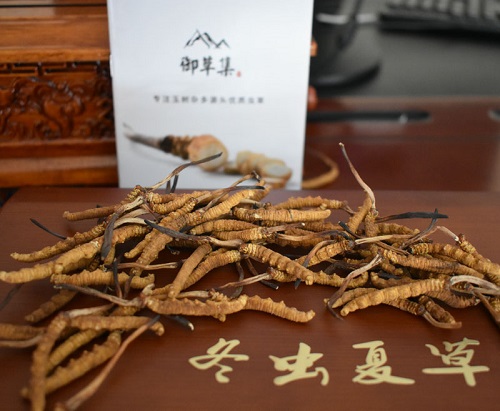 785c0b9c295ba913b6d37aecff89d412.jpg yucaoji14.jpg