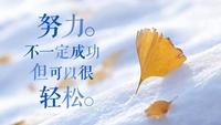 五年制专转本不奋斗,世界这么大你靠什么去看看