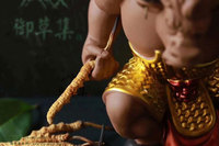 冬虫夏草怎么吃?冬虫夏草一次吃多少?