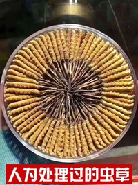 什么样的冬虫夏草好?直直的冬虫夏草好么?