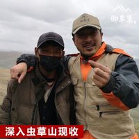 【冬虫夏草】各个产区新鲜冬虫夏草何时开始采挖?