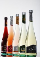 意大利原瓶进口肯爱起泡酒