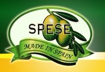 宁波斯贝斯进出口有限公司