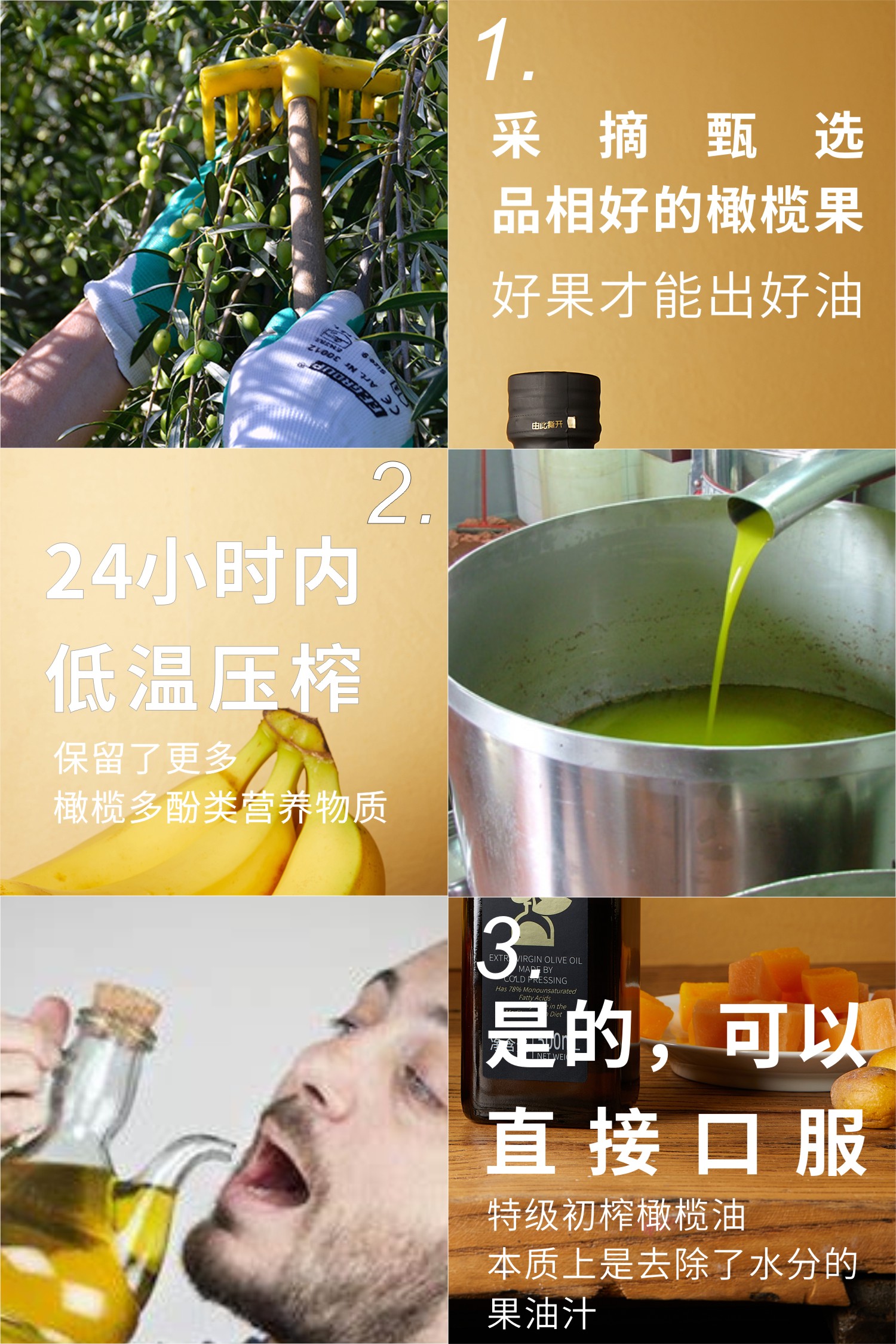 52b5d6a12ee42e8fd54d39c84c4d4ce4.jpg 吉益树详情图 (6).jpg