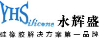 深圳市永辉盛进出口有限公司