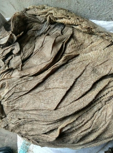 批发盐干毛肚 千层肚 盐毛肚 火锅食材