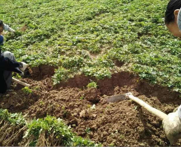 cf5427e5f4b58554f307978b0e3d71cd.jpg 微信图片_20190103115417.jpg