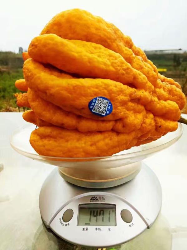 ae64454aad8cdebad4ac7602113e2eac.jpg 佛手5.jpg