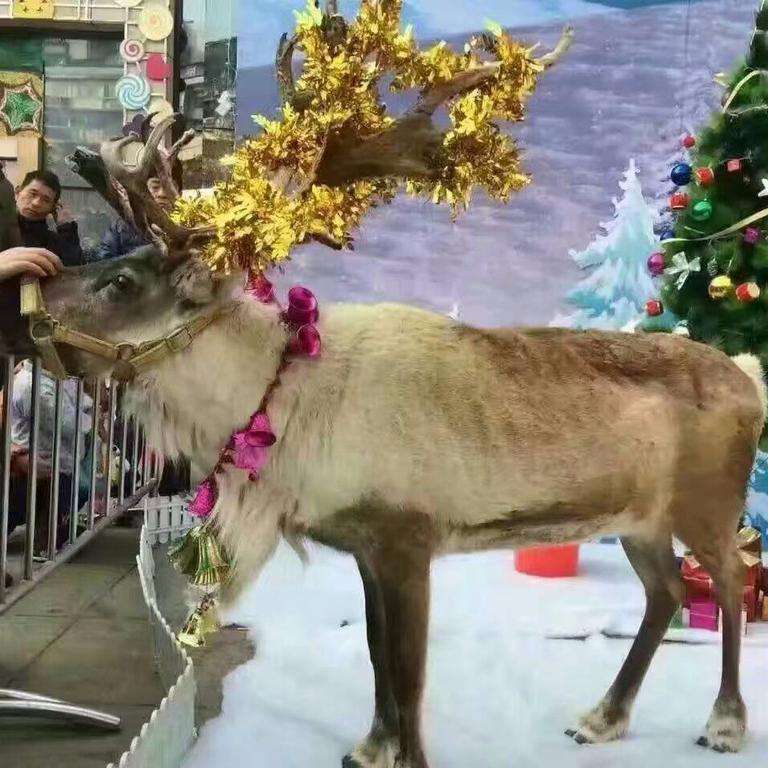 7b7a950bbc18eda35c3f998172fb6237.jpg timg.jpg