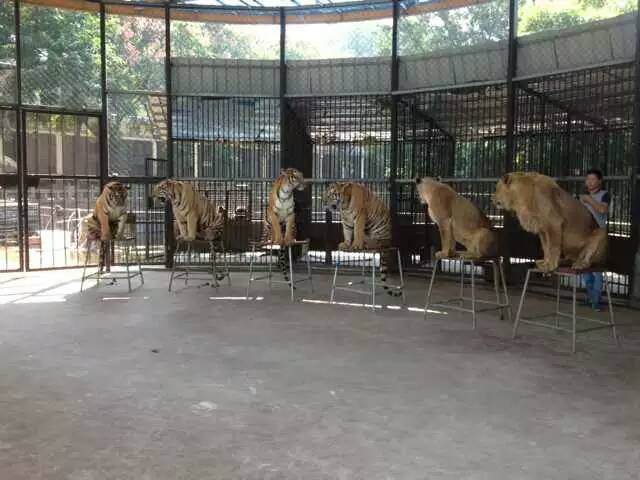 9ca67216600dcb9564e97b239f174884.jpg 636505011250985097.jpg