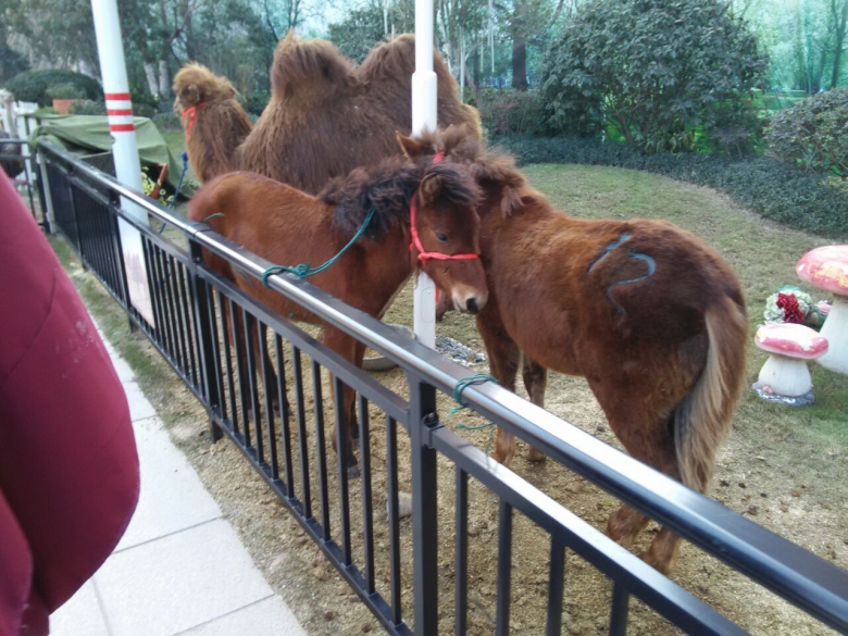 d2fbec337e31c1b4461f5701fc5e895c.jpg rBADvFpe80eALxhpAANuXz0fXaY120.jpg