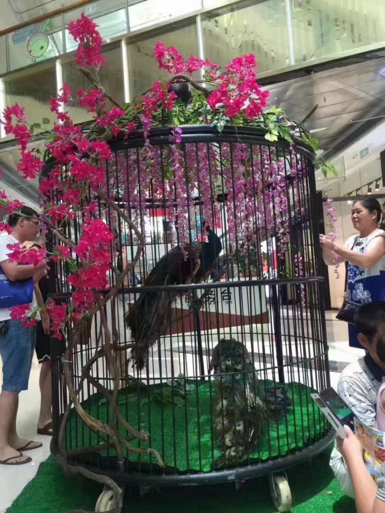 e7f8237f411aa3fdb6fa75f893ce4a05.jpg 微信图片_20180802105037.jpg