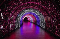 广东大型梦幻灯光节灯光展厂家定制制作低价出租出售