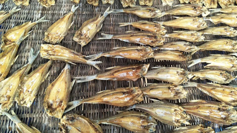 a481b8cac94c35956794338a6fd5cefc.jpg 9d54da02a71b25331ed370a4a20fe06.jpg