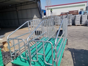 定位栏猪用设备 整体热镀锌国标管猪床 半限位栏