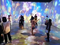 震撼来临互动投影出租