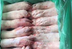 柳州冷冻批发猪蹄猪肉猪排猪肚猪心五花肉