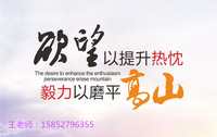 江苏五年制专转本高职同学三江学院有哪些专业可供选择？