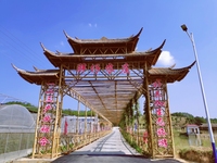 长沙农家乐一日游