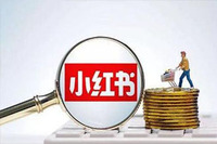 母婴行业在小红书如何种草笔记？小红书笔记和素人笔记的区别？