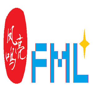 深圳市凤鸣亮科技有限公司