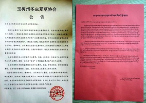 御草集提示：玉树州官方发布公告提示大家不要上当受骗