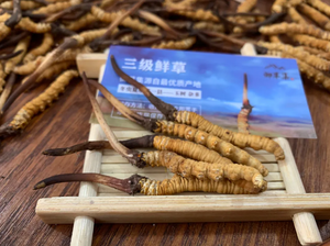 御草集冬虫夏草：高海拔冬虫夏草终于开始销售了，日期定在5月20号