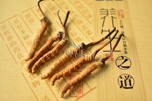 冬虫夏草什么品牌好?