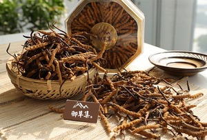 御草集冬虫夏草:今日新到小草,快来围观吧!