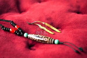 御草集:冬虫夏草、藏红花、枸杞、胎菊、黄姑、天珠……