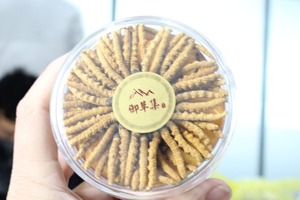 【冬虫夏草】肾结石该如何调理?冬虫夏草可以辅助治疗肾结石吗?