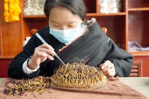 御草集冬虫夏草：女人气虚百病生，试试这样调理吧~