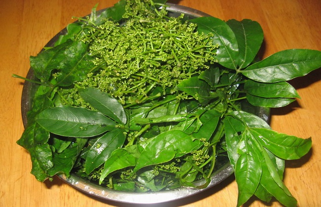 2fc14c7d101283587f254c15ed79d493.jpg 三叉苦6.jpg