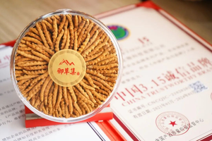 冬虫夏草功效:吃冬虫夏草对哮喘等呼吸道肺部疾病有好处吗?