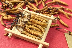 源产地冬虫夏草老品牌——御草集，又添新保障！