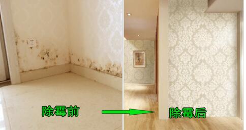 7be58b5e4101c6042811cf1cd7a4028d.jpg 35E0D445E785EBAC5528DD010FD9F301.jpg