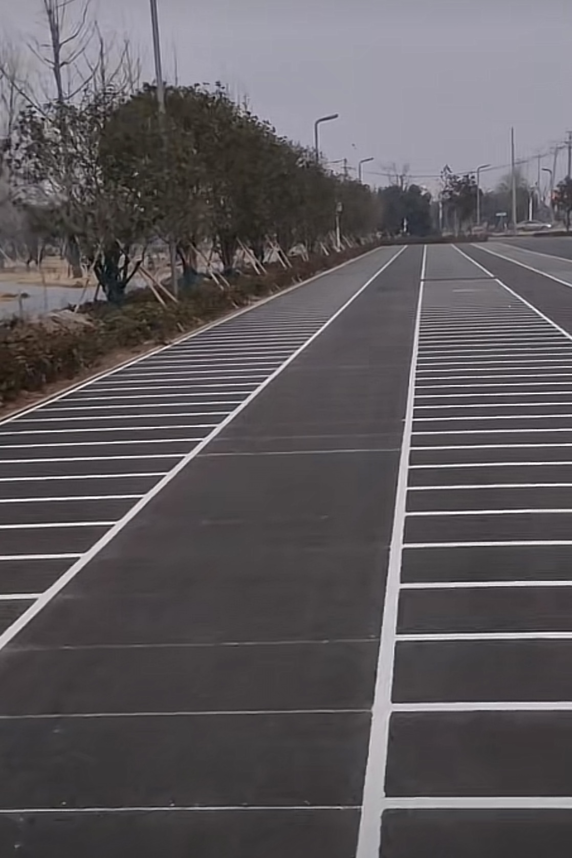 37bbace048d5e840e4e0817d6c83e603.jpeg IMG_7722.jpeg