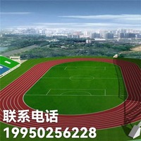 足球场草坪 足球场塑胶跑道 足球场围网 球场产品配套设施