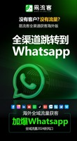  引领全球引流潮流：数字化时代的获客新纪元