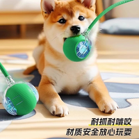 东莞酷得智能逗宠球开发方案