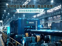 ZG06-D/SG系列在线动态米直线度测量仪 长材产线质检