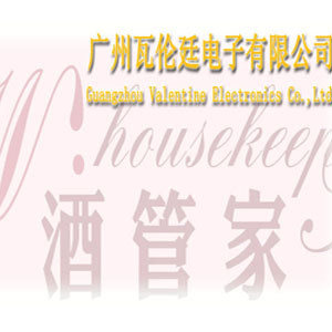 广州瓦伦廷电子有限公司